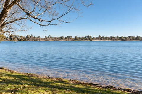 Open water and the low treed shoreline of Lake Wendouree in Ballarat