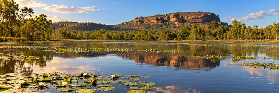 Anbangbang Billabong beneath Kakadu’s sandstone escarpment