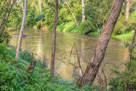 Birrarung/Yarra River at Warrandyte