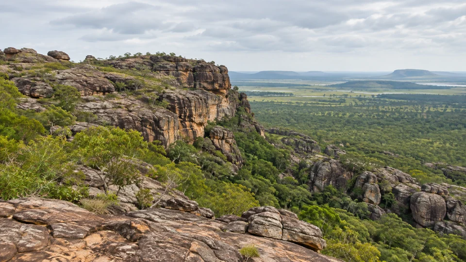 Layered sandstone above the woodland at Burrungkuy in Kakadu