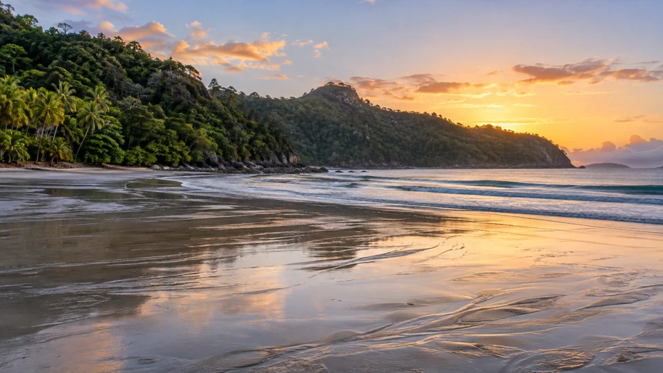 The rainforest-backed shoreline at Cape Hillsborough