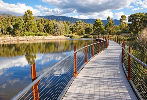 The Sanctuary boardwalk at Tidbinbilla Nature Reserve
