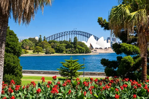 Garden beds in the Royal Botanic Garden Sydney overlooking Farm Cove, the Opera House and Harbour Bridge
