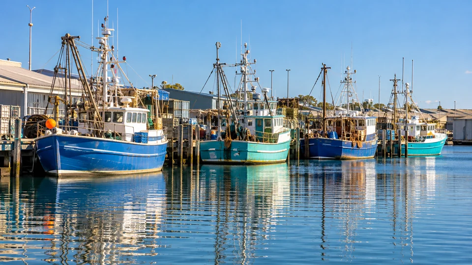 Working fishing boats in Fremantle Fishing Boat Harbour