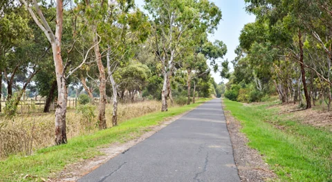 A sealed stretch of the Bellarine Rail Trail lined with eucalypts