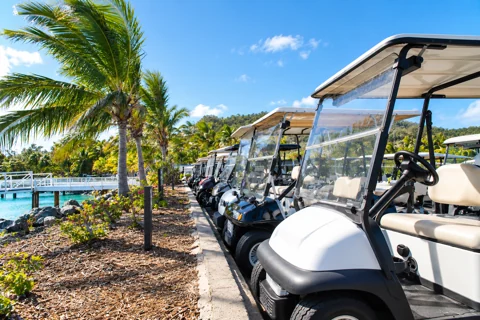 Small canopy-topped buggies in a row beside palms and a waterfront jetty