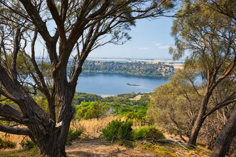 The crater lake at Tower Hill Wildlife Reserve