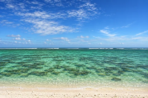 Clear shallow water over coral patches beside Lady Elliot Island’s crushed-coral beach