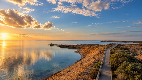 The cliff-top boardwalk at Eagle Bluff in soft evening light