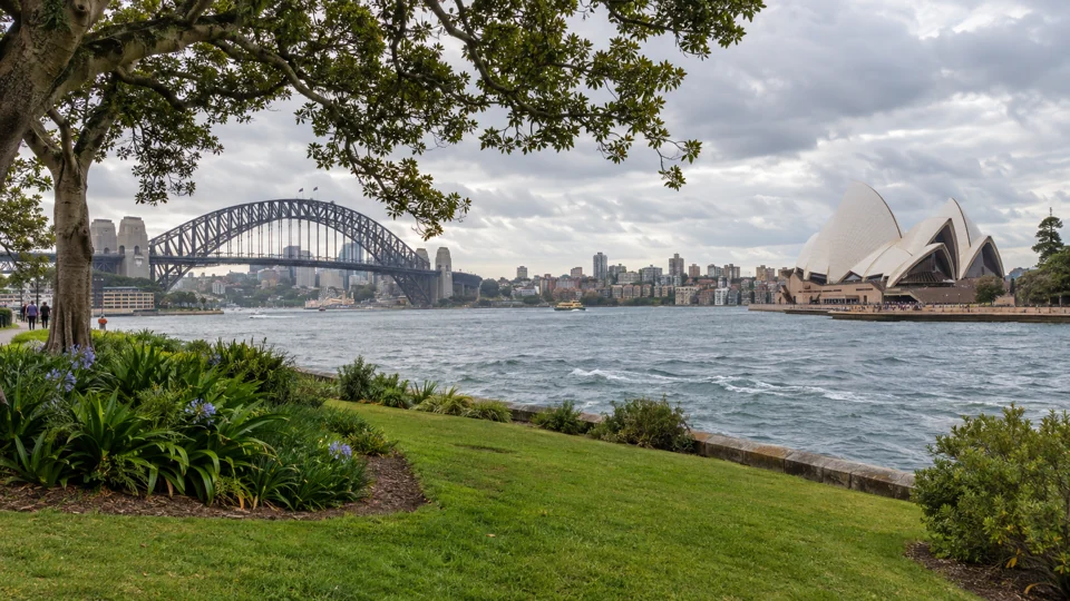 Sydney Harbour from the Botanic Garden