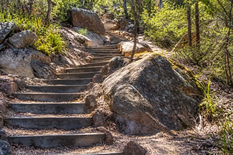 The wooded steps on the return from Wineglass Bay