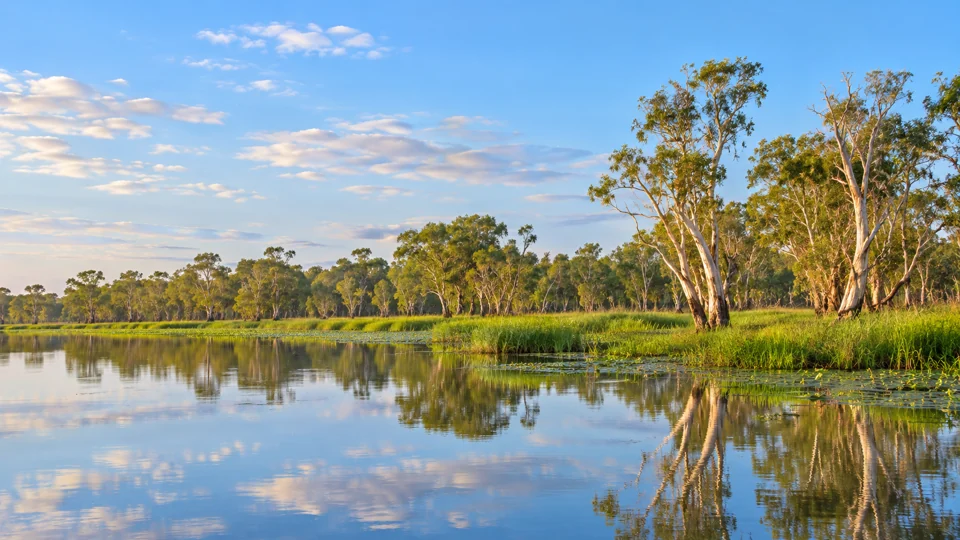 Yellow Water (Ngurrungurrudjba) billabong in Kakadu National Park